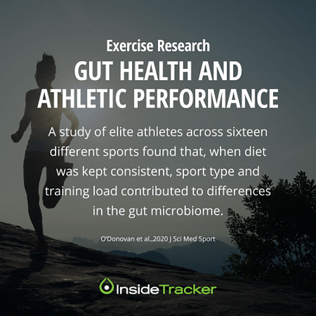 Gut health and athletic performance